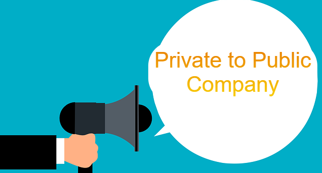 Private To Public Company